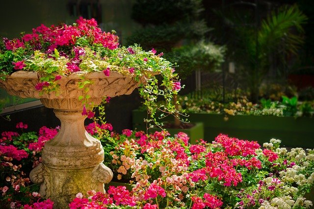 Garden landscaping with flower decoration