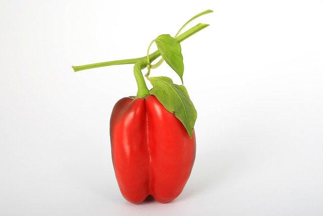 how to grow pepper