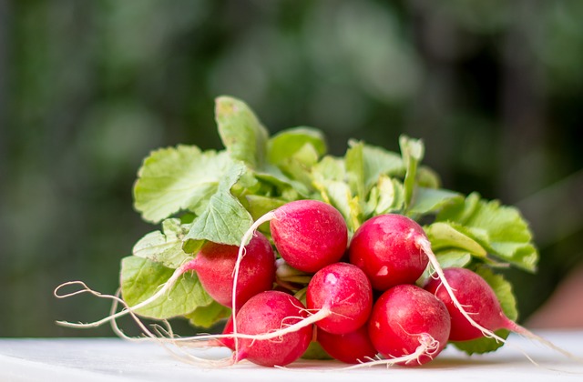 radish easy to grow at home