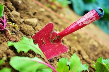 Good shovel will make it easy for gardening