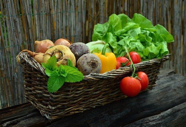 how to harvest your vegetables