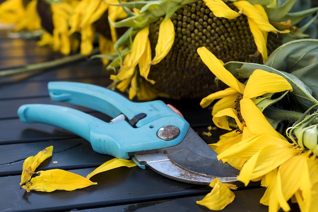 how to choose right gardening tools