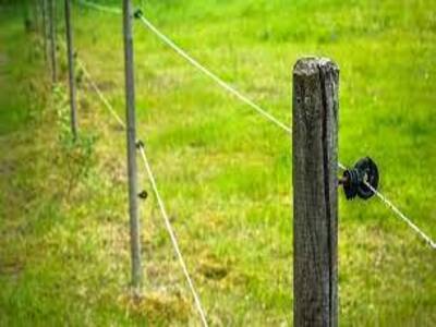 Electric fence to control pests in the garden