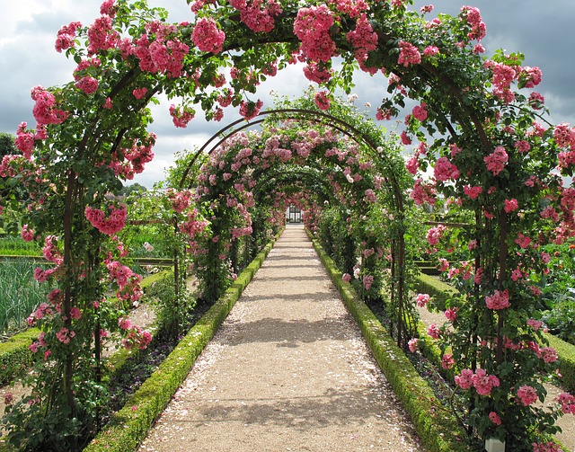 rose garden design