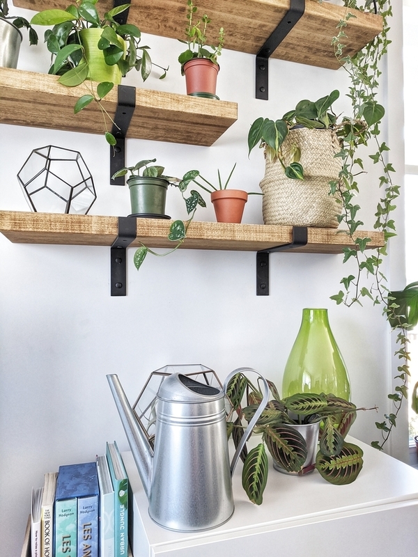 8 tips on how to create your own indoor garden
