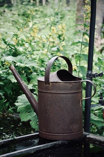 How to Make Insecticidal Soap at Home - Stay Home Stay Gardening