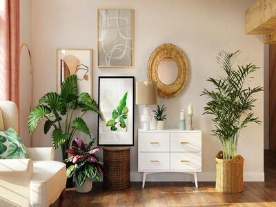 Indoor plants in your living room