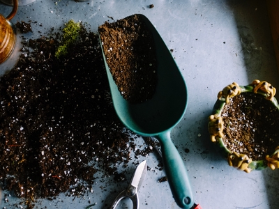 Use the right type of soil