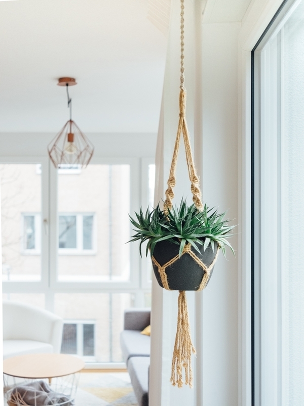 Styling your home with indoor hanging plants