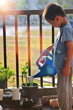 enjoy gardening with kids