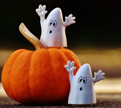 Decorating house & garden with your kids for Halloween