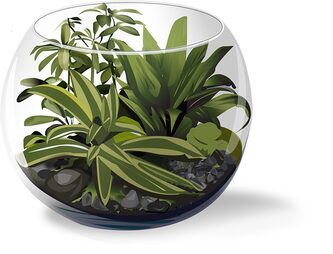 How to create terrarium garden at home