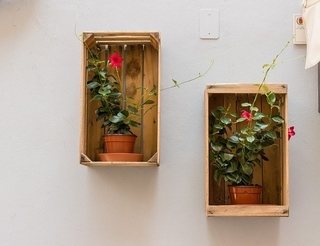 Install boxes on the wall to create a special wall garden