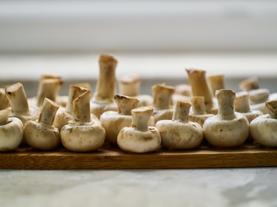 Harvesting mushrooms