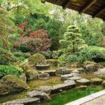 How to Design a Japanese Garden That Brings Calm to Your Space